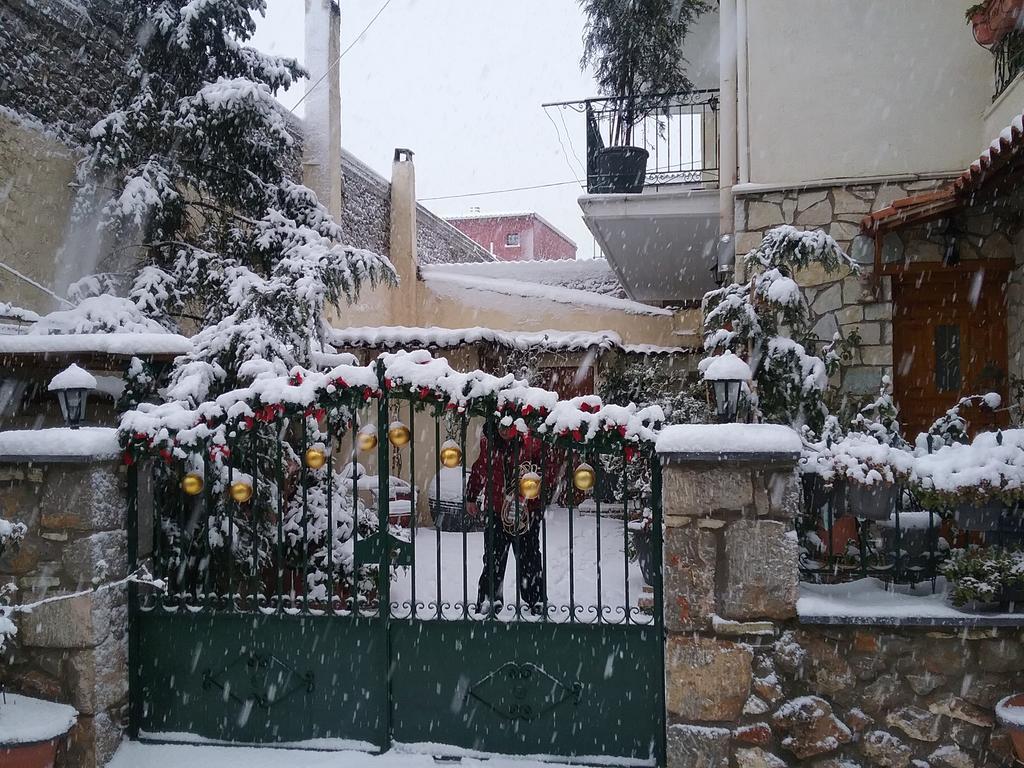 Patriko Apartment Arachova Exterior photo